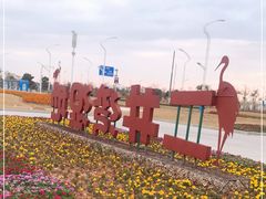 -芒洲湿地公园
