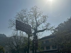 -雁荡山风景名胜区