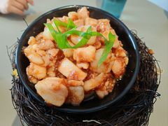 -丁老爷子苏香圆