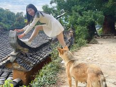 -杨家堂村