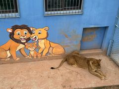 -青藏高原野生动物园