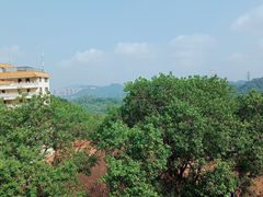 -深圳仙湖植物园