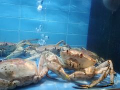 -翡翠小城·海鲜豆捞·广式点心(老佛爷店)