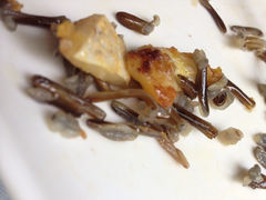 iphone_upload_pic-黑明餐厅(白鹭洲店)