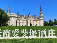 -北京张裕爱斐堡酒庄