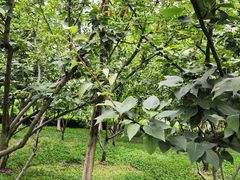 -白塘生态植物园