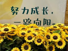 -北京凤凰岭