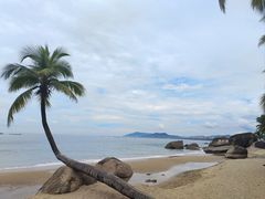 -小海豚•老字号海鲜餐厅(天涯店)