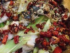 炝锅江团-小胖墩炝锅鱼(天钥桥路店)