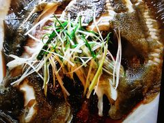 清蒸多宝鱼-骊宫坊