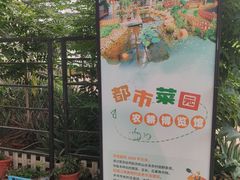 -上海都市菜园
