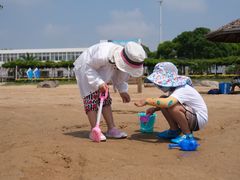 -碧海金沙