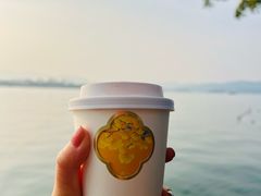 -杭州西湖柳莺里酒店
