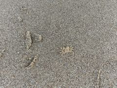 -南澳海滩