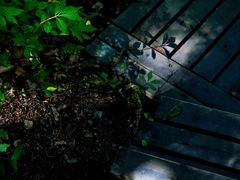 -青峰峡国家森林公园