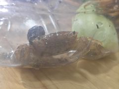 -南澳海滩