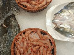 -鑫复盛皇嘉海鲜酒店