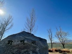 -野鸭湖国家湿地公园