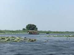 -白洋淀景区