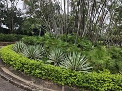 -纪念孙中山市政公园