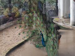 -荆州中山公园动物园