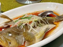 -潮福汇