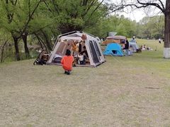 -长白岛森林公园