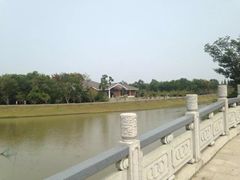 -上海海湾国家森林公园