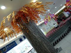 -大润发(梅兰东路店)