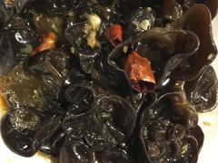 -金杏·粘卷子 烤鸭 农家菜