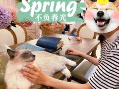 -共舞时光猫咖·狗咖(新街口店)