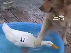 -便宜坊烤鸭店(甜水园店)