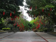 -深圳国际园林花卉博览园