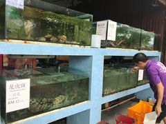 -真浪大家乐海鲜餐馆