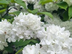 -苏州上方山国家森林公园