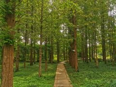 -国家植物园南园