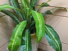 -深圳富茂格伦菲尔口腔门诊部(龙华清湖总院)