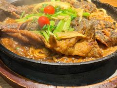 -老板恋上鱼(高新万达店)