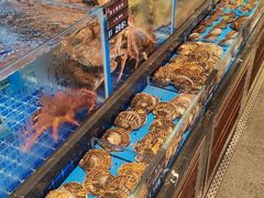 -百富源·海鲜辽菜(浑河堡店)