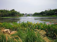 -映月湖公园