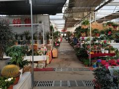 -秦美花卉(天朗·莱茵小城2期店)