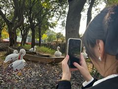 -无锡动物园·太湖欢乐园