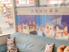 -芭比堂动物医院·心脏科·老年急重症·夜诊·吉雅分院