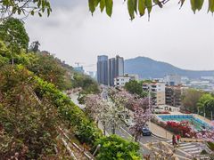 -小南山公园