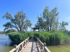 -野鸭湖国家湿地公园