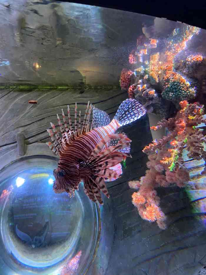 上海长风海洋世界