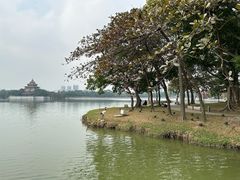 -顺峰山公园