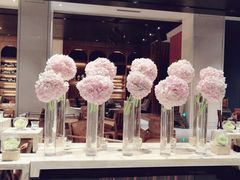 -诺世嘉顿酒店Rose·花园餐厅