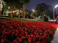 -眉山湿地公园(东坡区)