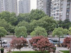 -大拙里·精致融合菜(沙湖桃源国际店)